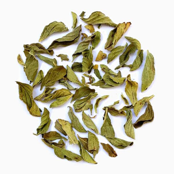 Menta-Herbal Tea-Té Herbal